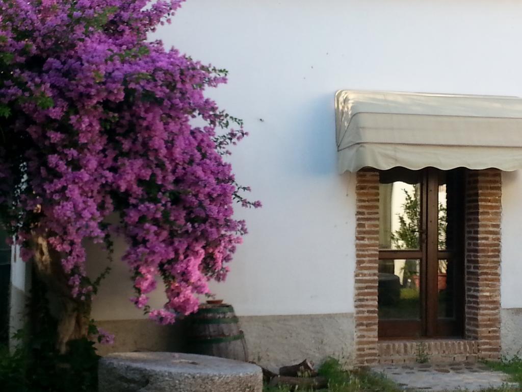 Agriturismo Malena 아미카 외부 사진